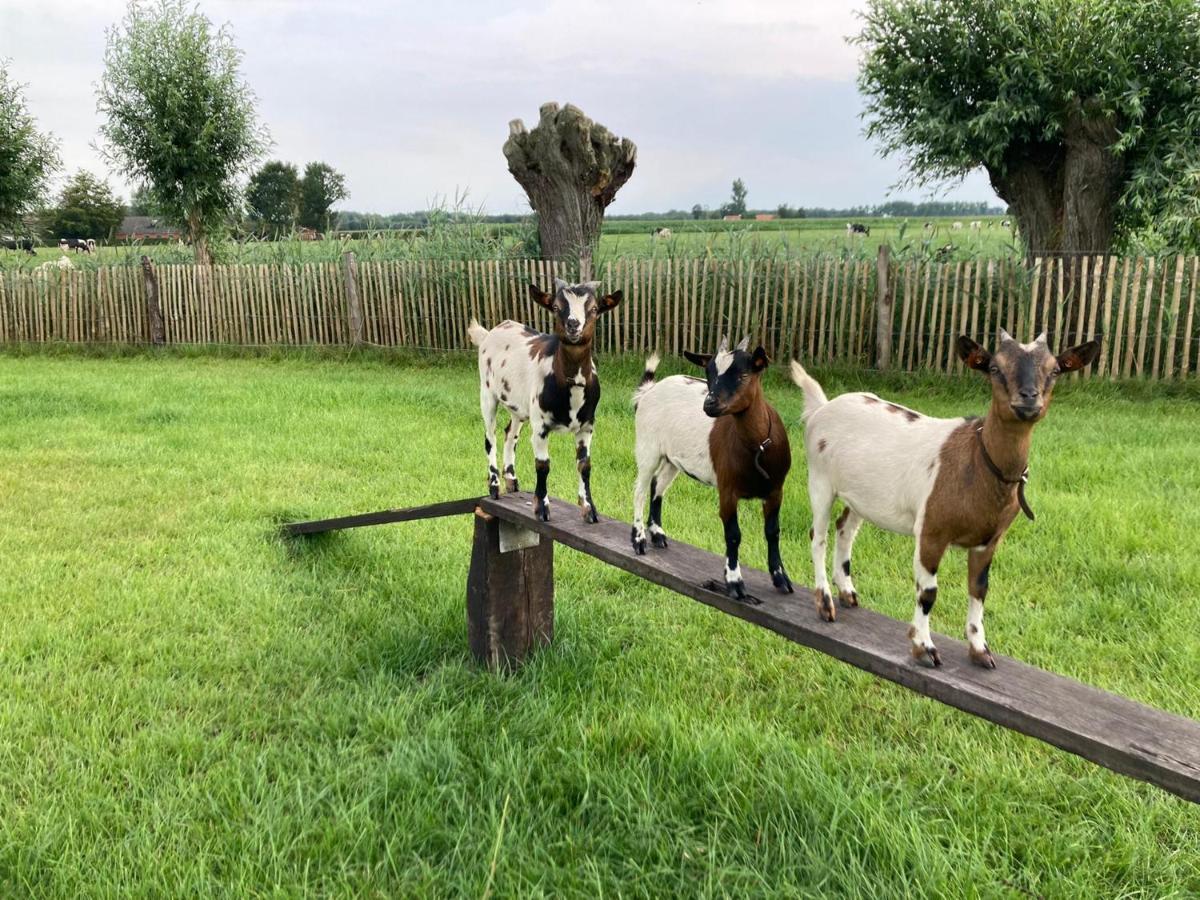 De Burkelhoeve app.B Maldegem Buitenkant foto
